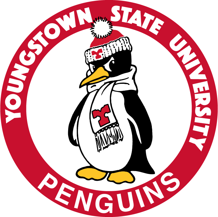Youngstown State Penguins 1979-2007 Primary Logo diy iron on heat transfer
